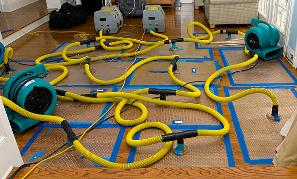 Professional Storm Water Damage Restoration technician working in Ward, CO