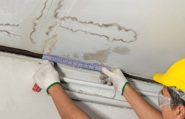 Affordable Storm Water Damage Restoration solutions in Ward, CO